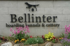 Bellinter Boarding Kennels & Cattery Main Entrance