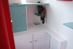 Exploring cat suites at Bellinter Cattery Navan Meath