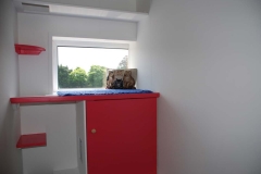 Climbing platform for cats in suites at Bellinter Cattery near Dublin